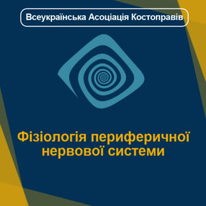 Фізіологія периферичної нервової системи
