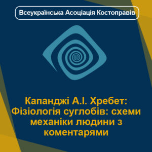 Капанджі А.І. Хребет: Фізіологія суглобів: схеми механіки людини з коментарями